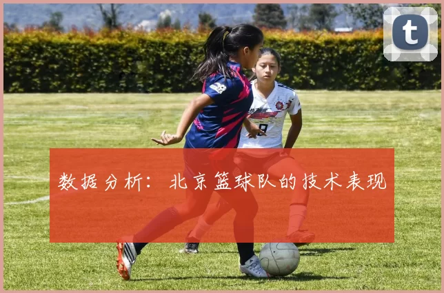 数据分析：北京篮球队的技术表现