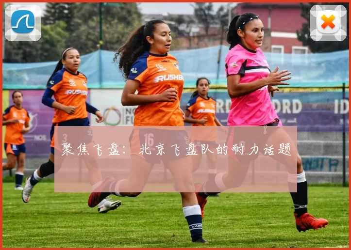 聚焦飞盘：北京飞盘队的耐力话题