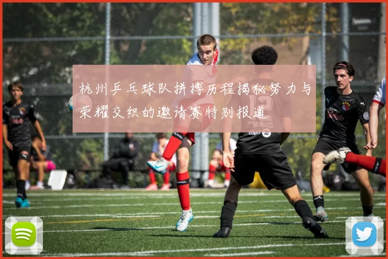 杭州乒乓球队拼搏历程揭秘努力与荣耀交织的邀请赛特别报道