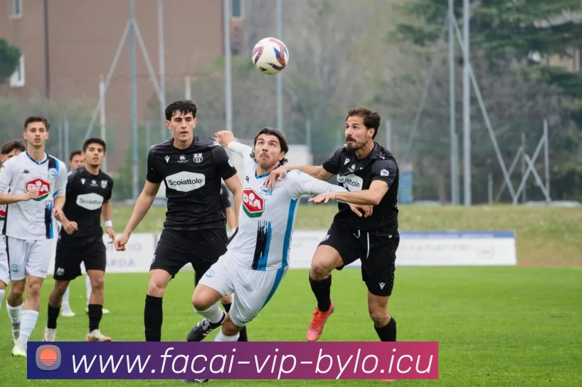 星空体育APP 体育赛事宣传图